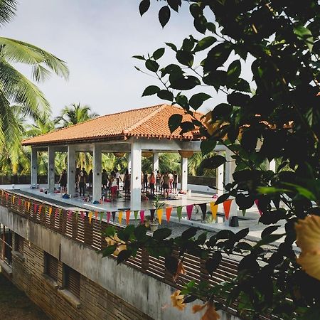 Utmt - Underneath The Mango Tree Spa & Beach Resort Dikwella Eksteriør billede