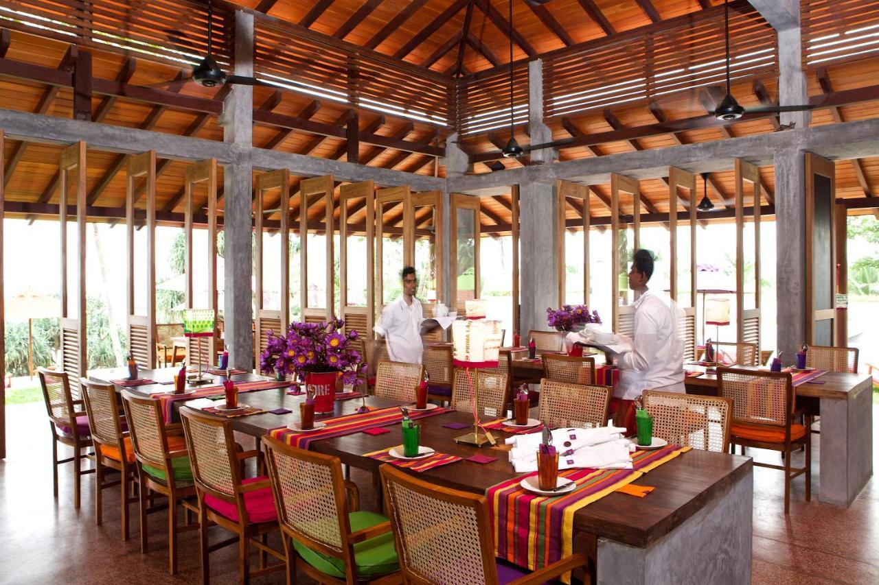 Utmt - Underneath The Mango Tree Spa & Beach Resort Dikwella Eksteriør billede