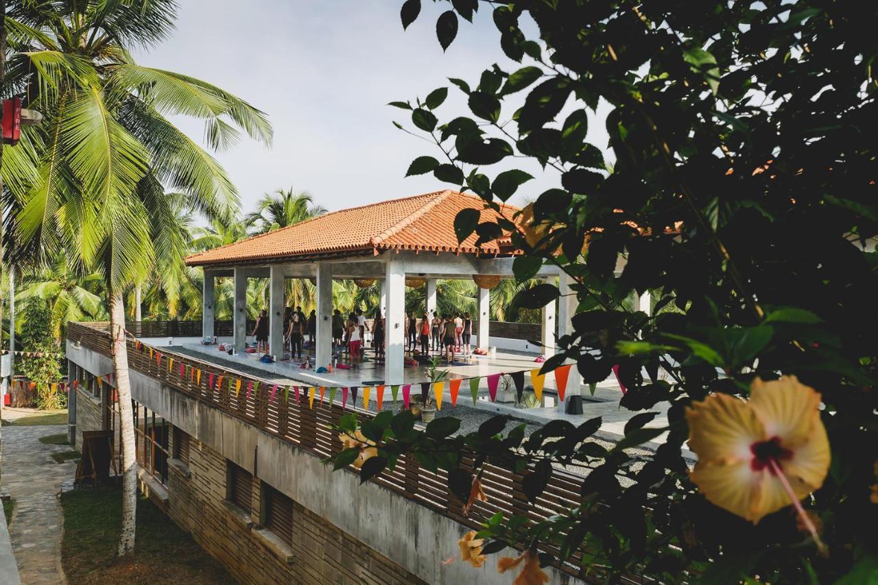 Utmt - Underneath The Mango Tree Spa & Beach Resort Dikwella Eksteriør billede